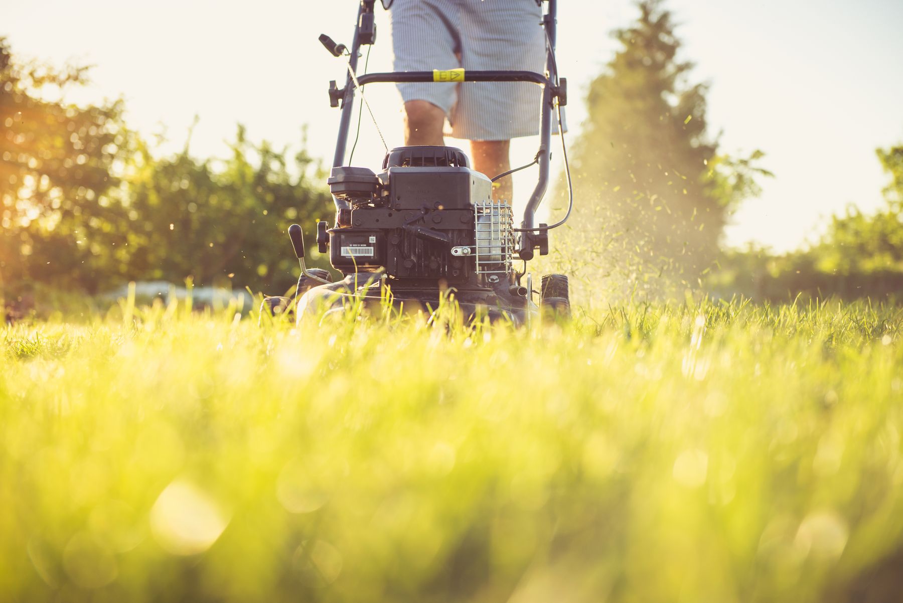 Close up of a lawn mower cutting grass in the late afternoon sun