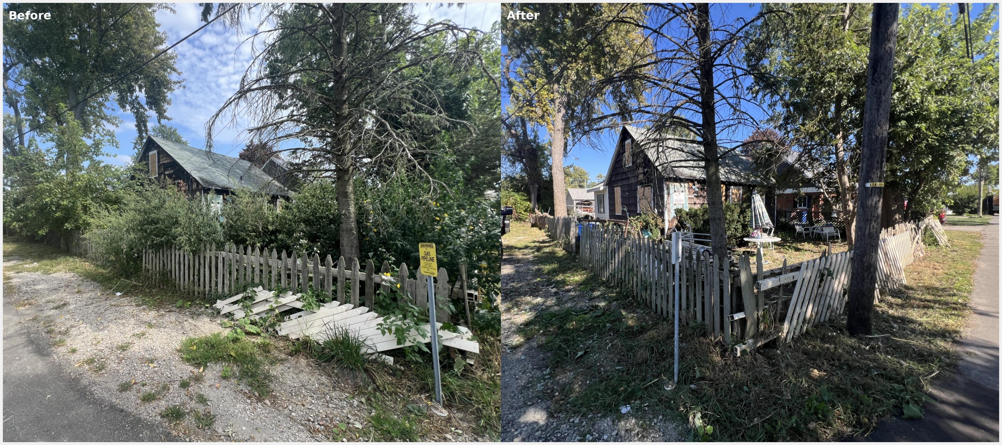 Before and after: overgrown yard cleared by Community Mow volunteers